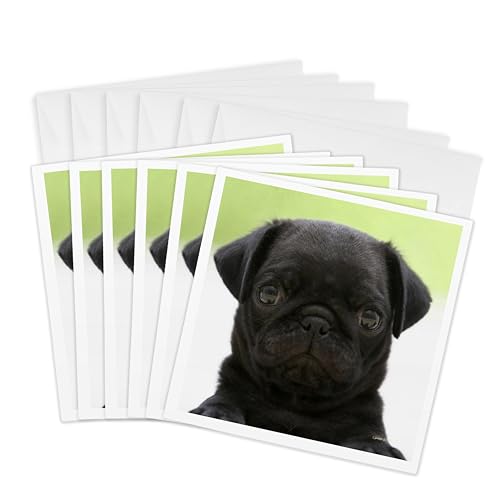Cartes de vœux carlin 3dRose Gc_21198_1 : lot de 6 avec enveloppes pour toutes occasions