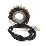 OEM 006101200000 Bobina De Estator Generador for Motocicleta, para Beta RR 4T 350 EFI 390 430 480 Racing 2016-2019 006101200000 Pieza