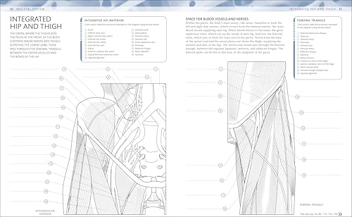 The Human Body Coloring Book: The Ultimate Anatomy Study Guide, Second Edition (DK Human Body Guides) - Image 3