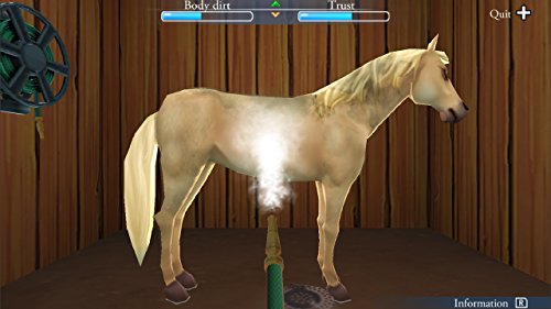 My Riding Stables - Life with Horses - Nintendo Switch - Image 5