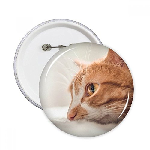 Badge bouton chat image ronde XL à la finition photographique nette