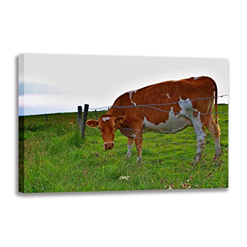 Tableau sur toile motif vache de grande taille 80 x 120 cm tendue sur châssis