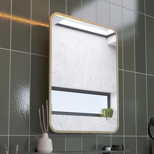 Croydex Bathroom Mirror With Storage - Stainless Steel Carcass with Gold Effect Metal Frame Mirror Door, Magnetic Latch, Fully Assembled (60 x 45cm)
