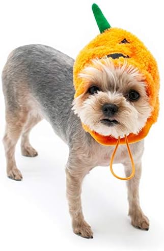 Dogo, Jack-O Pet Hat X-Large