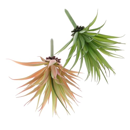 Alipis 1 Juego Planta Suculenta Decoración De Plantas Hierba Falsa Suculentas Plantadores De Planta Planta Artificial De Plástico De Suculentas Planta Falsa Artificial Suculenta 2 Piezas