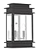 Livex Lighting 2016-04 Transitional Two Light Outdoor Wall Lantern from Princeton Collection in Black Finish