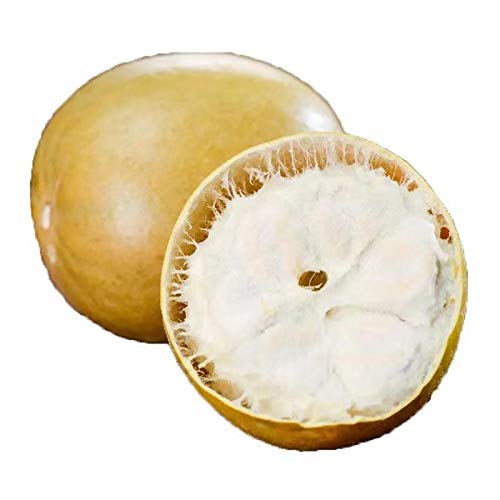 Guangxi Luo Han Guo (12 pcs/box)3.39 oz 200g