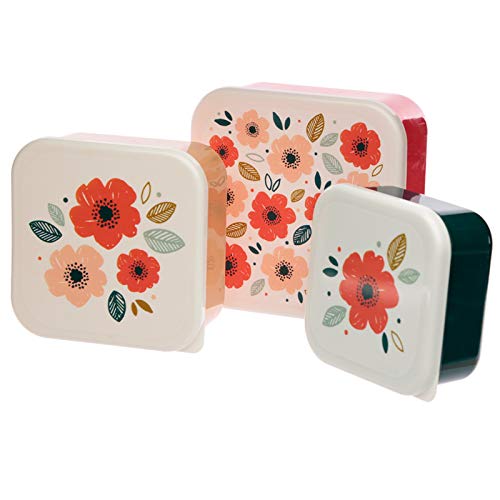 HoitoDeals Funny Design Lunch Boxes For Kids School, Office etc. (Set of 3) All Box are in different Size