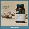 GAIA HERBS PRO Daily Lung Formula - Respiratory Health Support* - Immune Supplement with Mullein Leaf, Marshmallow Root & More - Vegan, Gluten-Free, Soy-Free - 60 Liquid Phyto-Caps (60 Servings)