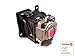 P PREMIUM POWER PRODUCTS 59-J0B01-CG1-OEM Replacement Projector Lamp for BenQ 59-j0b01-cg1