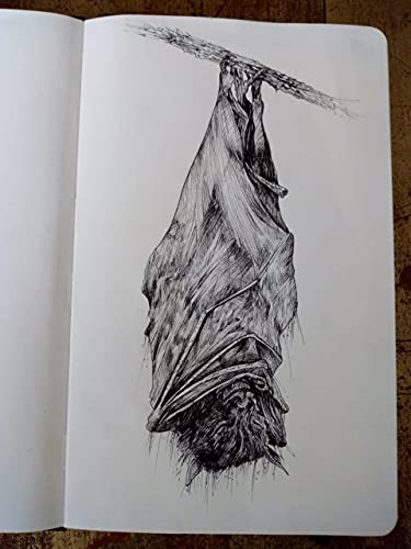 D&S Sketch book 140 g/m², caderno vermelho, A5, paisagem, 80 fls