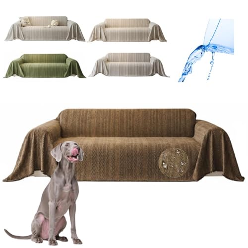 Lifetips C}i[iWeimaranerj \t@[Jo[ k  􂦂 h }`Jo[ 2l| 3l| It IȂ ~ Eh~ LΉ lGʗp iuEj i300180CMj