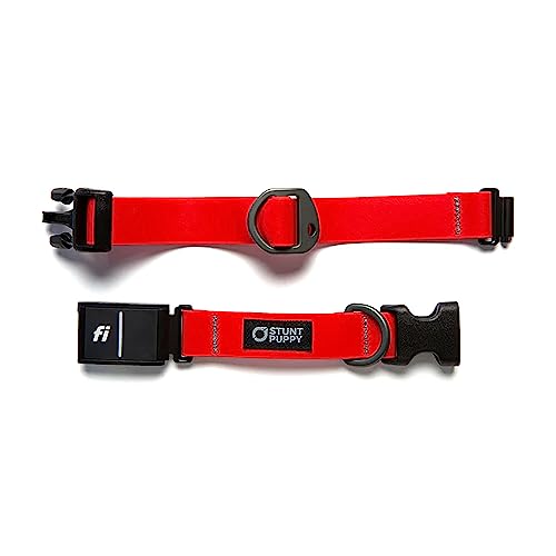 Stunt Puppy Dog Collar, Fi Series 3 and 3+ Ready, Medium, Red - Compatible with Fi GPS Device (Not Included)