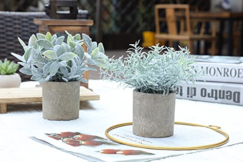 Miracliy Mini Potted Fake Plants Faux Artificial Eucalyptus Boxwood Rosemary Greenery In Gray Pots For Home Office Desk Bathroom Decoration Garden Decor, Indoor & Outdoor,Set Of 4 #TOP4