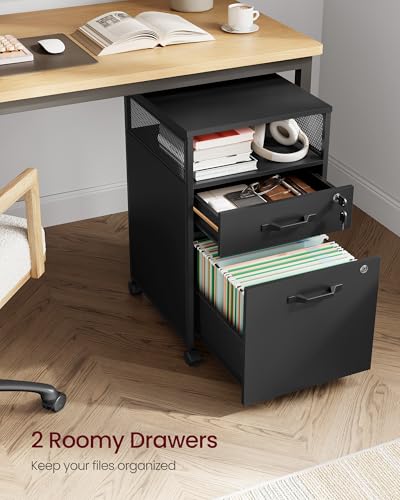 Image of VASAGLE 2 Drawer File Cabinet with Lock, Rolling Printer Stand