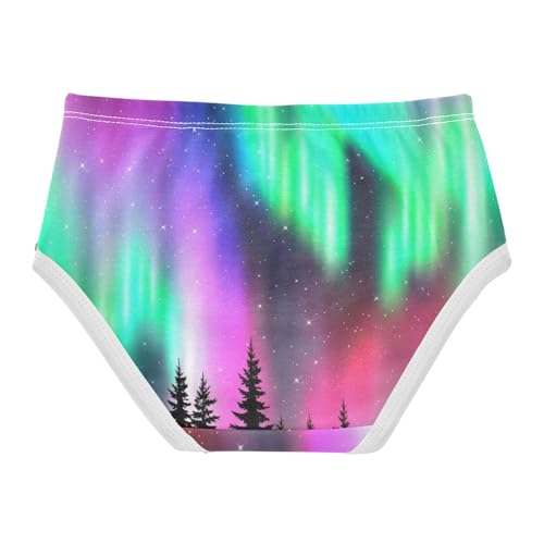 Animal Toddler Girls Underwear 2t Cotton Girl Panties Cute Vibrant Night Sky Colorful Aurora Briefs Girls Undies2