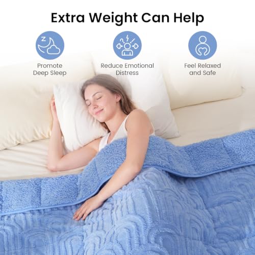 Image of Drewin Weighted Blanket for Adults Queen Size 15lbs, Soft Cozy Turtleback Sherpa Weighted Blankets for Sleeping and Calming, Thick Bed Blanket for Couch Bed, 60 x 80 inches, Sky Blue
