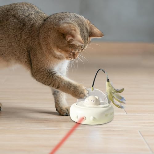 Jouet interactif pour chats pour lutter contre l'ennui et stimuler l'exercice