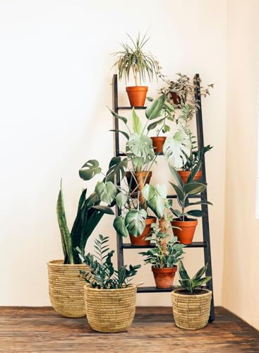 Serene Spaces Living SSLHL17570LMSSFS Set Of 3 Eco-Friendly Water Hyacinth Cache Pot: Stylish Plant Holder thumb #1