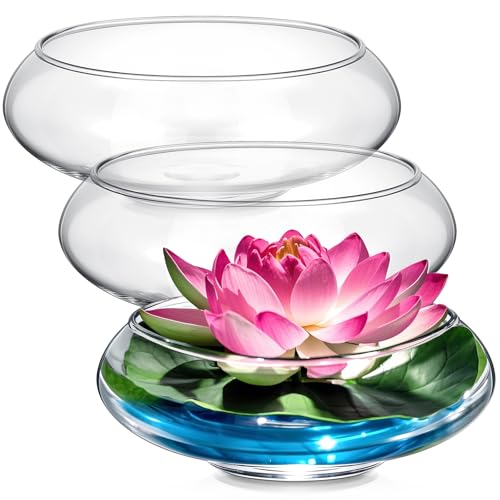 Baderke 3 Pcs Hydroponic Planter Lotus Flower Pot Planter Lotus Bowl Clear Glass Fish Bowl Vase for Planting Indoor Home Decor Water Lily Narcissus Planting Water Lily (7.09in)