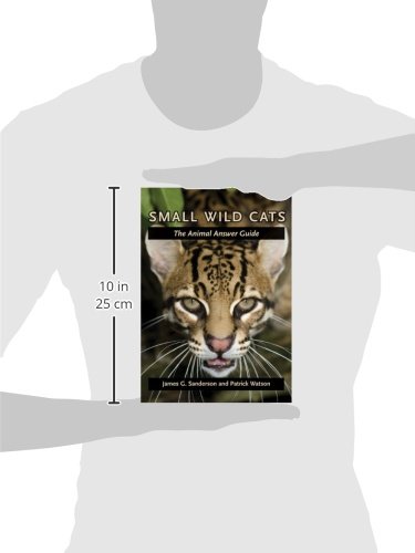 Small Wild Cats: The Animal Answer Guide (The Animal Answer Guides: Q&A for the Curious Naturalist)