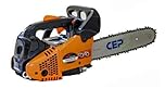 CEP Motosega da potatura a scoppio, a miscela PN2500-2B motore a due tempi 25 cc, lunghezza barra 30 cm