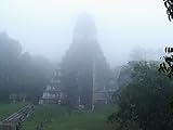  Tikal: Guatemala\'s Pride