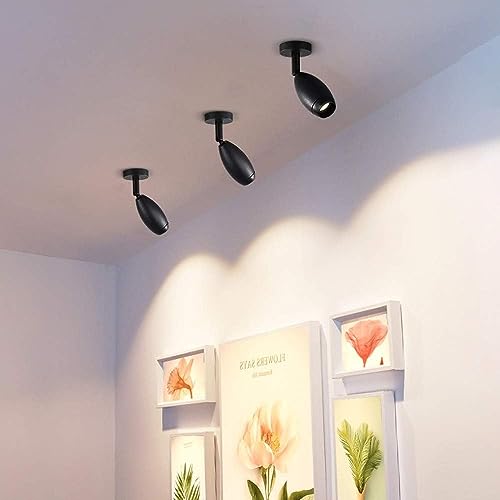Downlight moderne réglable haut de gamme finition noire 3W - 2