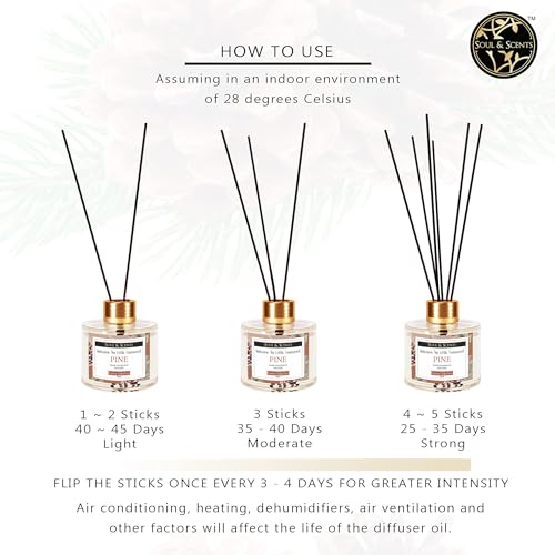 Image of Soul & Scents Pine Reed Diffuser Set - 120ml with Free 6 Fiber Reed Sticks Each | Toxin Free & Stress Relief | Long Lasting | Smoke Less Room Freshener for Home, Bedroom & Office | Pack of 2