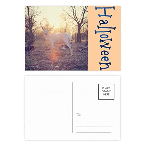 Cartes postales Halloween mouton et science de la nature pour correspondance et remerciement