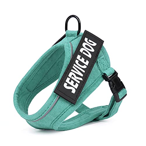 jewelora Personalisiertes Katzengeschirr Fluchtfestes Kätzchenwestengeschirr mit reflektierenden Streifen Verstellbarer Einstiegskätzchengeschirr für das Gehen im Freien (Green) Cover