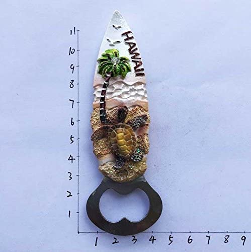 Magnete Frigorifero 3D Hawaii USA – Souvenir Di Viaggio In Cristallo Per Decorazione Casa E Cucina - 4