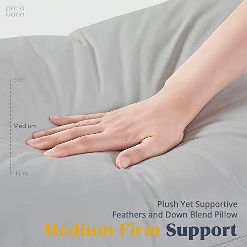 puredown Goose Feathers Down Pillows - Queen Size Bed Sleeping Hotel Collection Pillows Set of 2 with 100% Cotton Cover, Grey