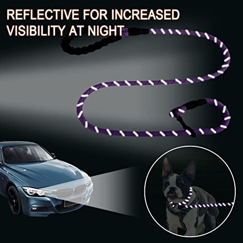 Barkbay Dog Leashes For Medium Dogs Rope Leash Heavy Duty Dog Leash With Comfortable Padded Handle And Highly Reflective Threads 5 Ft For Small Medium Large Dogs(Purple) #TOP4