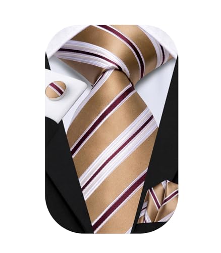 Image of Dubulle Silk Ties Set for Men Formal Paisley Striped Necktie Pocket Square Cufflinks 3PCS Sets Wedding Business Party