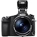 Sony Cyber-Shot DSC-RX10 IV Digital Camera (DSCRX10M4/B) with Filter Kit + Wide Angle Lens + Telephoto Lens + Color Filter Kit + 64GB Card + NPF-W50 Battery + Card Reader + Photo Software + More