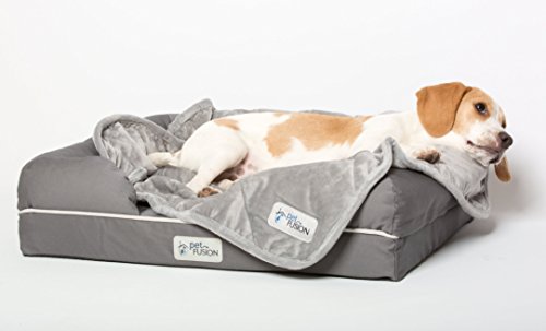 Petfusion Premium Plus Quilted Pet Blanket Blanket, Multiple Sizes For Dogs & Cats. [Light Inner Fill 70Gsm, Reversible Gray Micro Plush]. 100% Soft Polyester, Grey, Small (31 X 27) (Pf-Pm3A) #TOP6