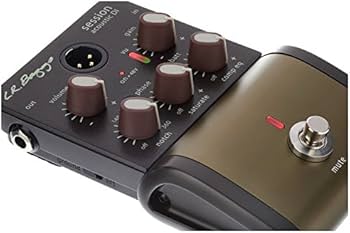 Amazon | L.R.Baggs SESSION ACOUSTIC D.I [並行輸入品