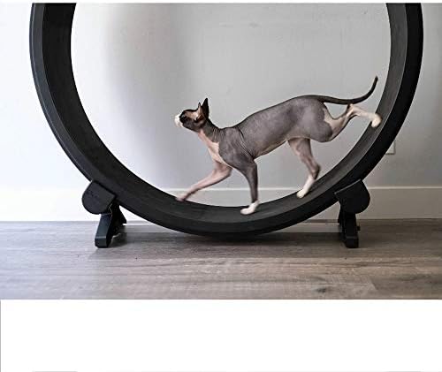 exercise wheel for dogs