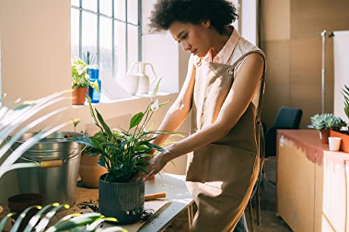 Gardenera's Premium Peace Lily Potting Mix The Perfect Growing Environment for Your Indoor Plants in Planters, Pots, and Containers [20 Quart Bag] - Thumbnail 5