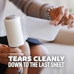 Scotch-Brite Everyday Clean Lint Roller, 300 Sheets Total,3 Pack - Image 6