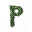 Green-p
