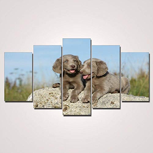 Tableau mural chiots mignons en toile 5 pièces pour habiller un grand mur vide