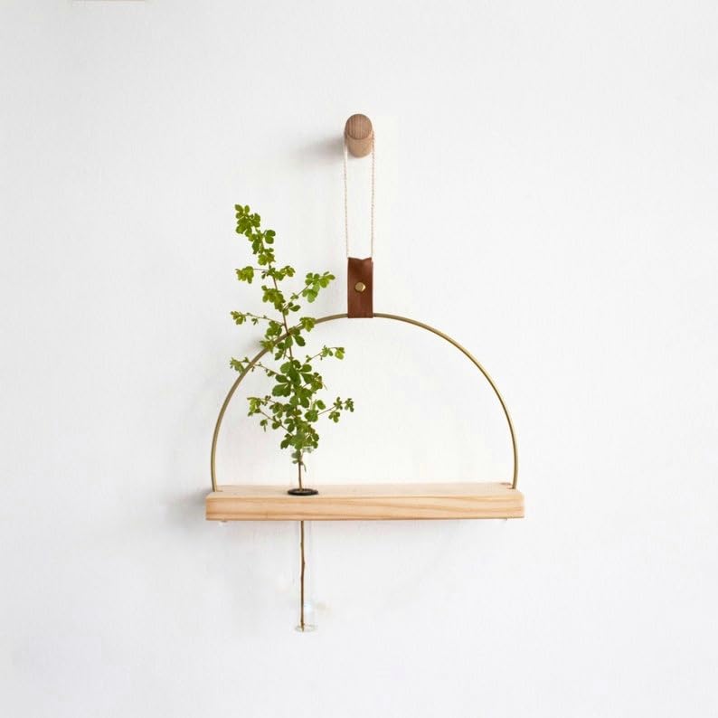 Adiy |10K| Metal Wall Hanging Wooden Planter Test Tube Flower Vase for Living Room Home Decor (B0CP9S2ZZM) Amazon Price History, Amazon Price Tracker