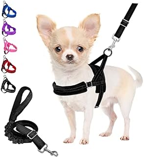 Eyein No Pull Small Dog Harness & Lead, Heavy Duty Easy for Walk Vest Harness Soft Padded Reflective Adjustable Puppy Harness Anti-Twist Pet Lead Quick Fit for Small Dog Cat Animal (S, Pink)