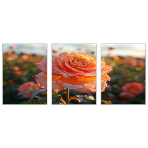 Art sur toile rose vintage DunPei pour habiller un mur vide 50x70