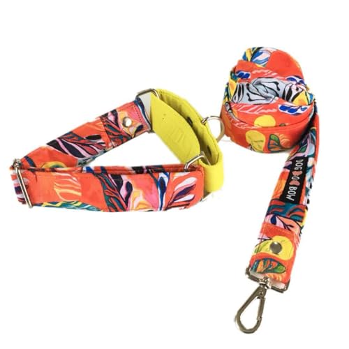 Image of Dog-O-Bow Martingale Collar with Leash | Durable, Adjustable Collar & Leash Set (Medium)