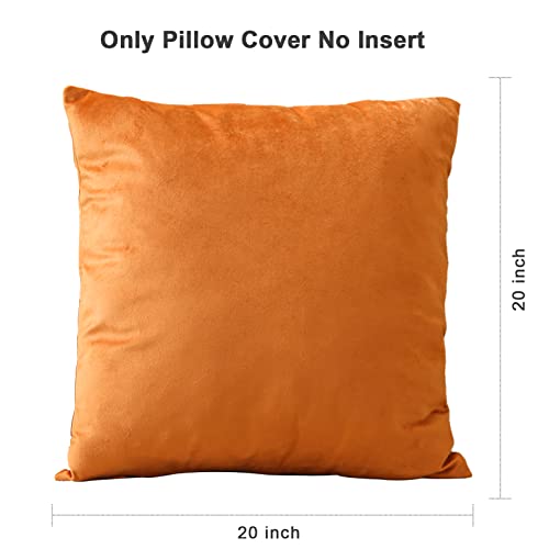 Moloudan Fall Velvet Throw Pillow Covers, Halloween Decorative Square Pillowcase, Soft Solid Cushion Covers For Sofa Couch Living Room Bedroom(Burnt Orange, 20 X 20 Inches, 2-Pack) #TOP6