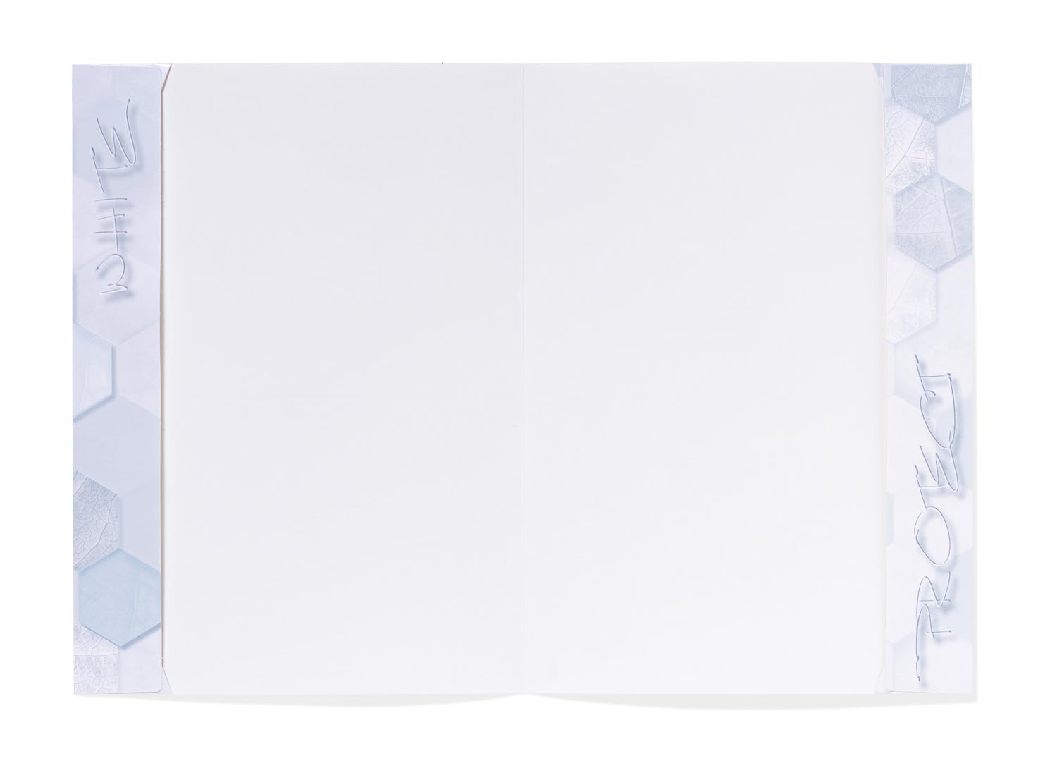 HERMA 1366 Vaccination Certificate Cover for New Vaccination Card Hinged Transparent Pack of 10 ID Cover for Vaccination Book Protection Plastic Card Sleeves Protective Cover Set - Image 3