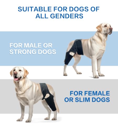 Image of Dog Knee Brace, Dog Leg Brace with 10 Stabilizers, Adjustable Dog Knee Brace for Torn Acl Hind Leg, Joint Pain, Kneecap Dislocation, Cruciate Ligament Injury and Muscle Sore, XL